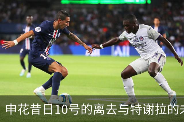 申花昔日10号的离去与特谢拉的未来